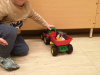 pingo_2025_10